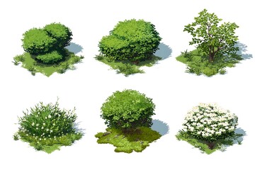 Six Varieties of Lush Green Foliage and Bushes for Landscape Design