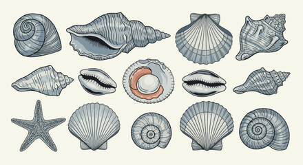Sea Shells Collection Decorative Vector Graphic of Various Seashells and Starfish