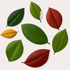 Obraz premium green leaves isolated on white background