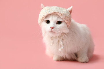 Cute white cat in funny hat sitting on pink background