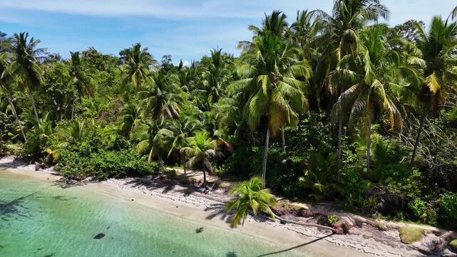 Aerial view of a vibrant tropical beach with clear turquoise waters meeting a sandy shore fringed by lush green palm trees, Bocas del Toro, Panama.