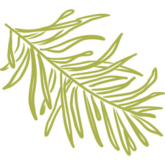 Olive Branch Illustration Olive Leaf Branch Line Art Isolated Transparent Background Green Outline