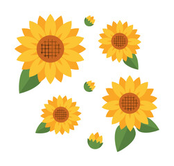 Sunflowers and buds creating a summer floral pattern