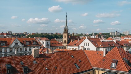 Obraz premium Rooftops of a historic cityscape, showcasing architectural heritage and urban density