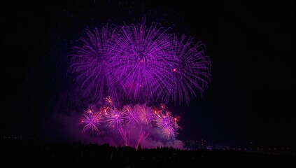 Fototapeta premium Purple fireworks illuminated the night sky brilliantly.