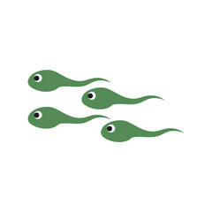 metamorphosis of frog illustration vector