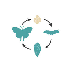 Butterfly life cycle in pastel tones: metamorphosis journey from caterpillar to butterfly