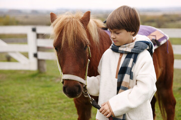 Obraz premium Equine assisted therapy. Little boy with beautiful pony outdoors. Lovely domesticated pet