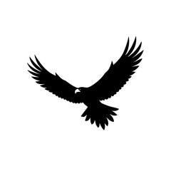 Black eagle silhouette soaring high with majestic wings spread