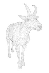 A 3D wireframe mountain goat with horns stands on a white background. The realistic rendering showcases the animal's detailed form and structure.