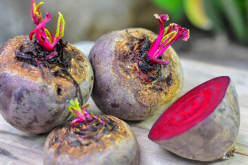 A beterraba &eacute; recomendada para situa&ccedil;&otilde;es de anemia, devido &agrave; riqueza em ferro e &aacute;cido f&oacute;lico. As folhas de beterraba possuem propriedades ben&eacute;ficas