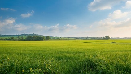 Obraz premium Bean fields under a clear sky, vibrant landscape promoting agricultural sustainability