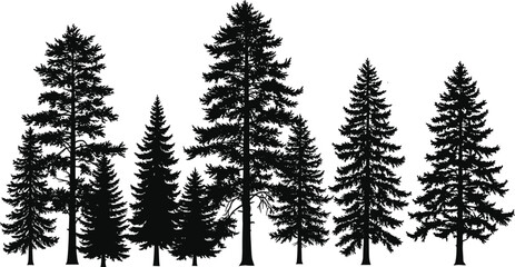 Conifer tree silhouettes, black pine forest row, evergreen nature scene, landscape illustration, vector graphic, isolated design, white background, woodland elements