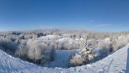 Frost-laden trees surrounded by snow drifts on winter mountains, showcasing seasonal change