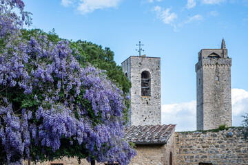 Obraz premium Wisteria flowers cascade over a stone wall, creating a stunning decoration against ancient towers under a bright sun, showcasing nature's beauty in a picturesque setting