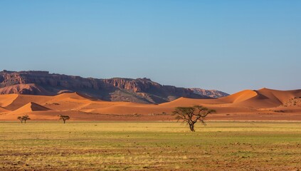 Obraz premium Expansive desert terrain under a clear sky, showcasing natural solitude