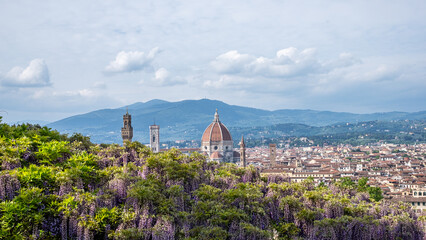Scenic view of vibrant purple flowers overlooking historic cityscape with iconic dome and towers, showcasing rich architectural beauty and cultural heritage