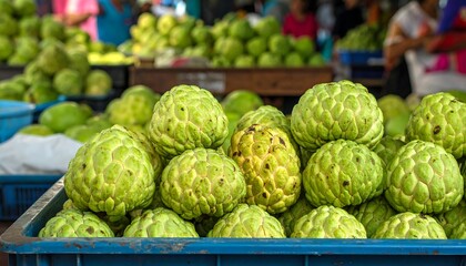 Fototapeta premium Pile of exotic, green custard apples at a market, shown in a blue crate with vendor blur in background