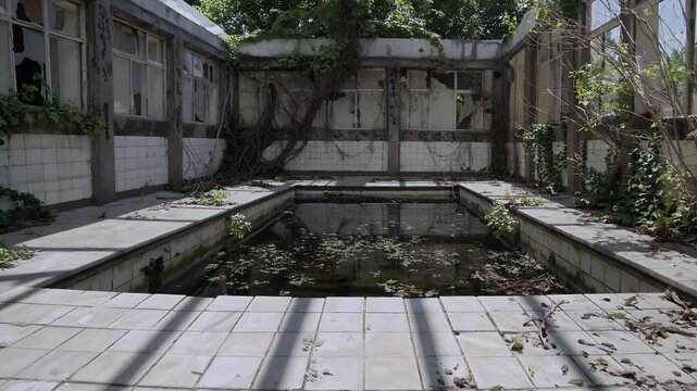 Atmospheric 4K footage abandoned swimming pool overtaken nature cracked tiles overgrown plants symbolizing decay passage time forgotten spaces