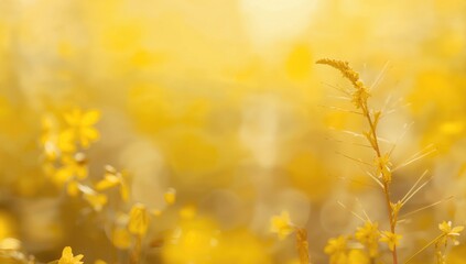 Faded background featuring a yellow hue, suitable for editorial header background