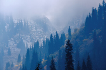 Mountain peaks drowned in a milky haze, and evergreen fir trees breaking through the fog. The mesmerizing beauty and silence where time stops.