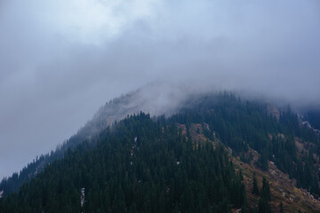 Majestic mountains, wrapped in a misty haze, keep their secrets. Dense coniferous forest covers the slopes, creating an atmosphere of tranquility and privacy. 