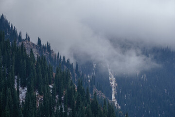 Mountain peaks drowned in fog, and evergreen fir trees covered with light frost. The silence and grandeur of nature on a cloudy day
