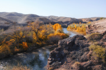 The Charyn River in the Kurtogai tract. Golden autumn has painted the shores, creating a picturesque contrast with the rocky hills and turquoise waters.