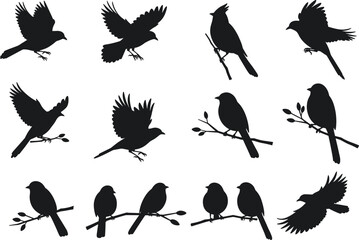 Black bird silhouettes collection on white background, flying and perched songbirds vector illustration, wildlife animals design, nature silhouette art set