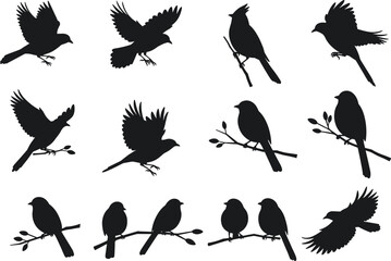 Black bird silhouettes on branches and in flight vector illustration, nature wildlife design, songbird pattern, minimalist decorative silhouette art, isolated set