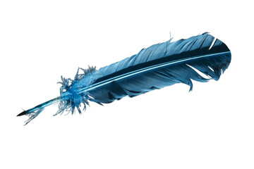 A blue feather is shown in a transparent background
