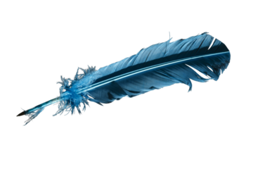 A blue feather is shown in a transparent background