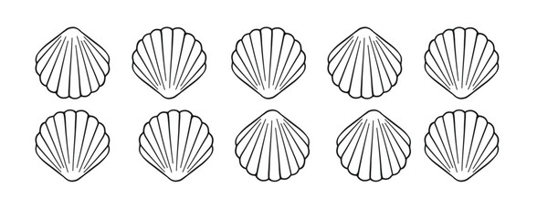 Seashells scallop border divider line art. Sea and ocean design template. Vector illustration summer or beach party, advertising design
