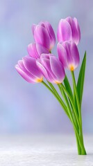 Naklejka premium Soft Pink Tulip Bouquet with Water Droplets Illuminated by Natural Light on a Textured Surface