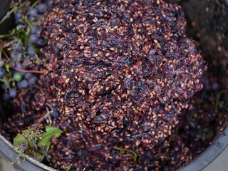 A close-up of dark purple grape pomace, a mixture of skins, seeds, and stems, left over from the winemaking process.