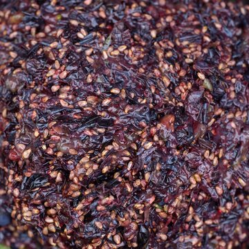 Сlose-up of dark purple grape pomace, a mixture of skins, seeds, and stems, left over from the winemaking process.