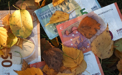 Financial situation of Europe in autumn - Euro banknotes with fallen autumn leaves