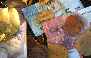 Financial situation of Europe in autumn - Euro banknotes with fallen autumn leaves