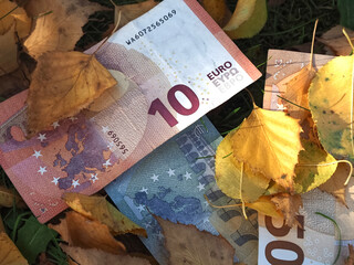 Financial situation of Europe in autumn - Euro banknotes with fallen autumn leaves