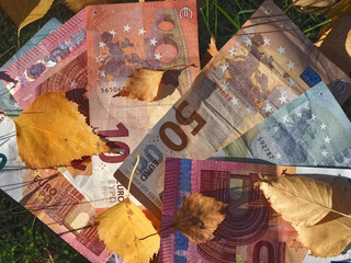 Financial situation of Europe in autumn - Euro banknotes with fallen autumn leaves