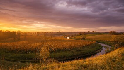 Fototapeta premium A breathtaking sunset over a valley with a dramatic sky, showcasing the oldest vineyard in the Netherlands, seasonal change
