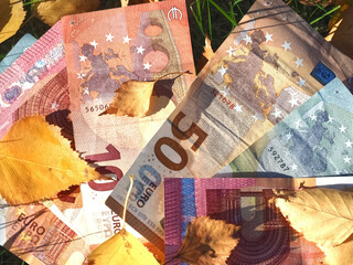 Financial situation of Europe in autumn - Euro banknotes with fallen autumn leaves