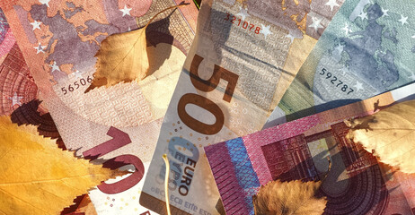 Financial situation of Europe in autumn - Euro banknotes with fallen autumn leaves