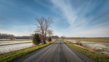 Obraz premium Cold winter landscape featuring a road and vintage trees, seasonal change