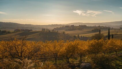 Obraz premium Landscape featuring agricultural fields, rolling hills, and trees during autumn, showcasing seasonal change