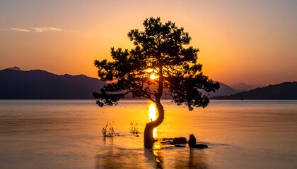 Silhouette of a tree in water during a golden sunset, mountains in background