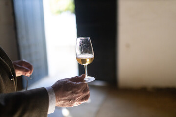 Hand holding glass of oloroso sherry tasting in jerez