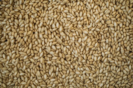 Facilitating cereal shipments from Eastern Europe to global markets. Initiating wheat trade and unlocking stored grains internationally. Addressing global food shortage by improving export - Powered by Adobe