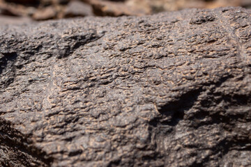 Macro Texture of Dark Volcanic Rock Surface with Fine Pitted and Eroded Detail