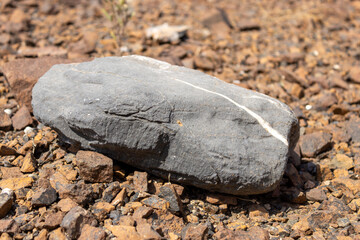 Smooth Grey Volcanic Rock with White Quartz Vein on Reddish Brown Ground